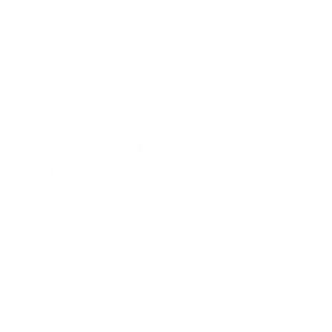 Logo de AEFEST